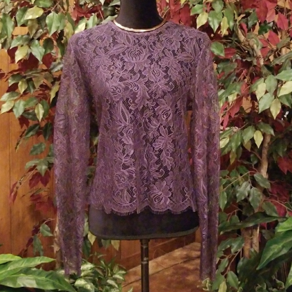 Ellen Tracy Plum Purple Long Sleeved Allover Lace Top Size 12